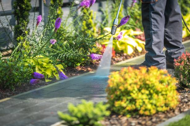 Trusted Golf Manor, OH Pressure Washing Experts